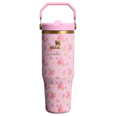 Stanley 1913 x LoveShackFancy IceFlow™ Flip Straw Tumbler | 30 OZ