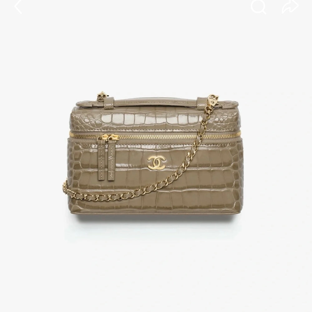 Chanel Crocodile Pattern Lunch Box Bag #387664
