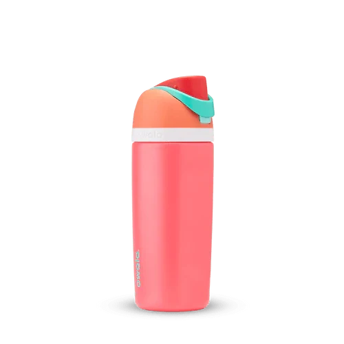 Owala Kids' 16 oz. FreeSip Stainless Steel Water Bottle