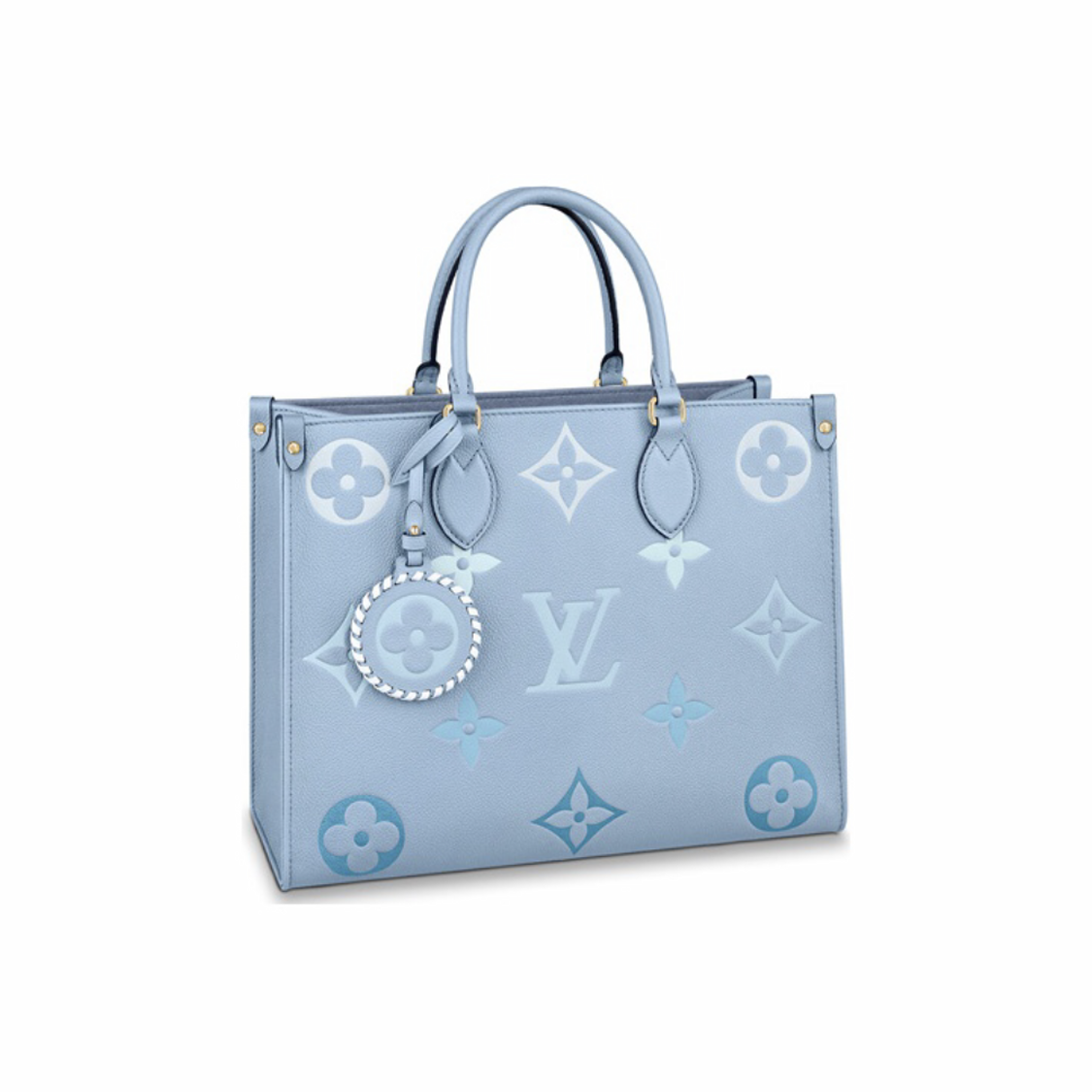 L Louis Vuitton Bag