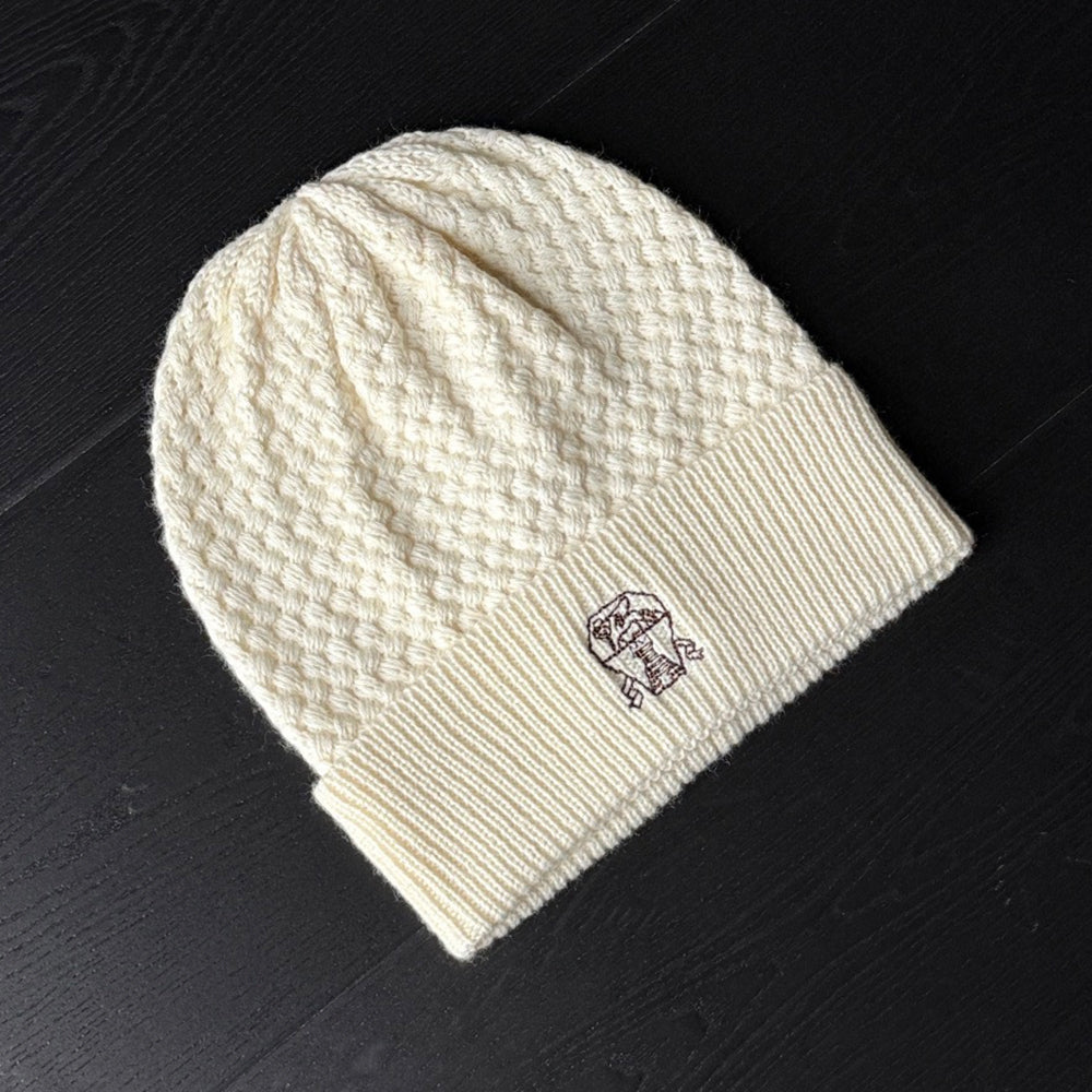 Brunello Cucinelli Cashmere Cold Hat#335433