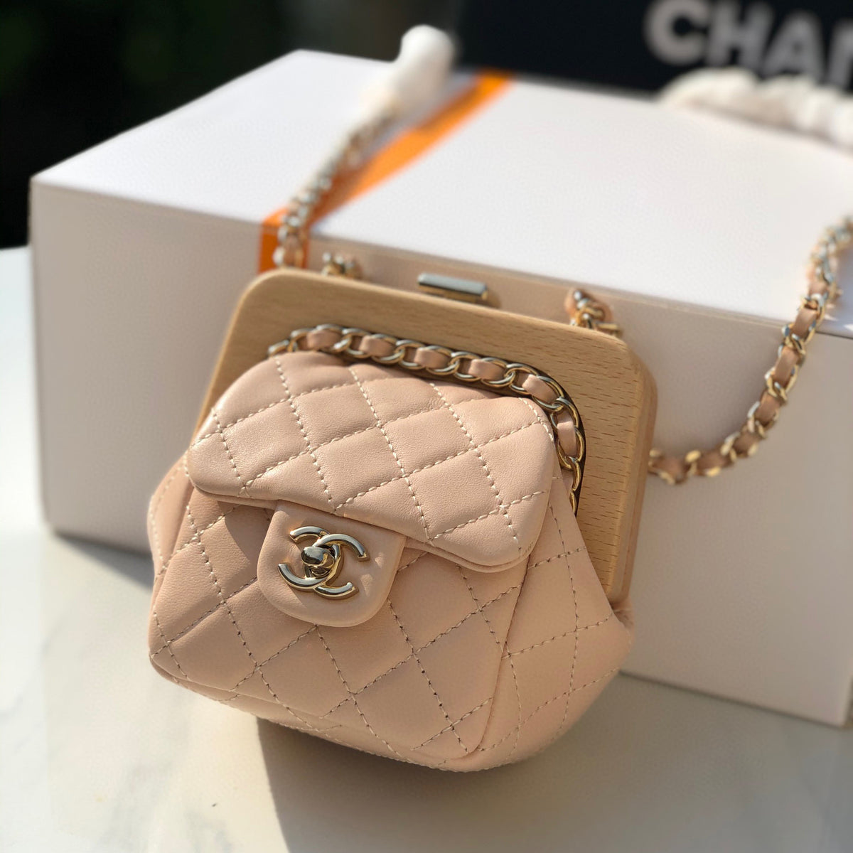 Chanel Leather Chain Diagonal Mini Bag #22168