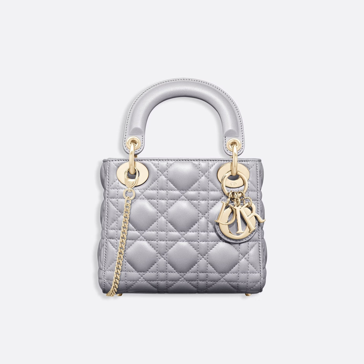 Dior  Leather Carrying Chain Bag #21446