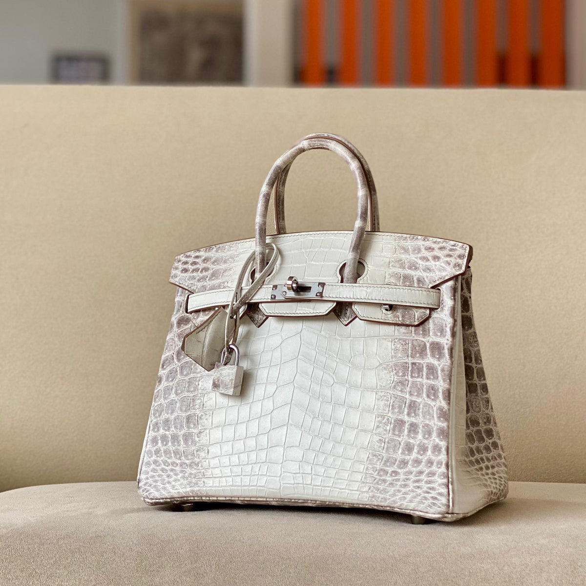 Hermes Kelly Lindy Himalaya Birkin Leather Handbag Bag Bags #96458