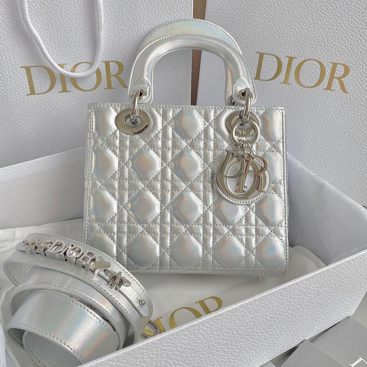 Dior  Multi Style Portable Bag #21322