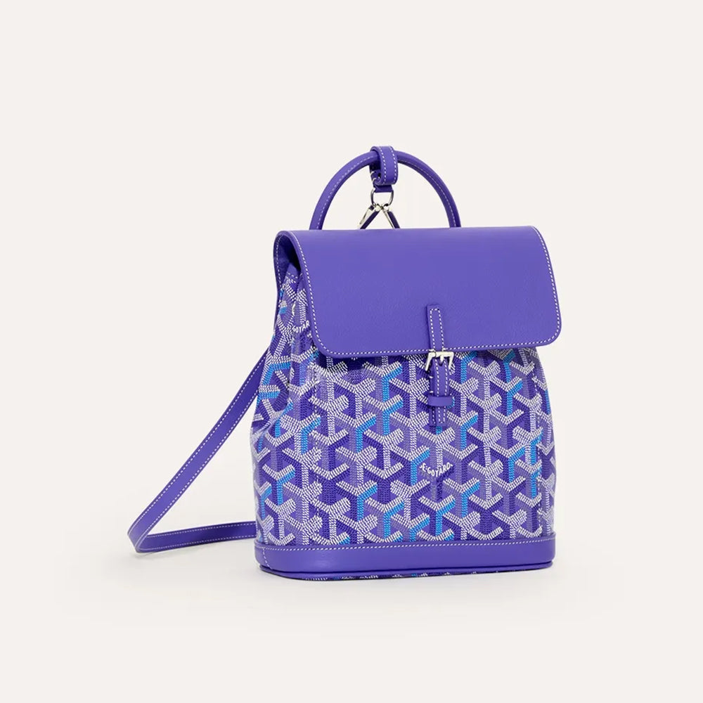 Goyard Alpin Mini Backpack Multicolored #388946